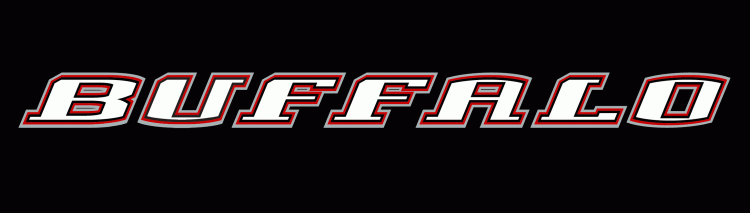 Buffalo Sabres 2000 01-2005 06 Wordmark Logo cricut iron on